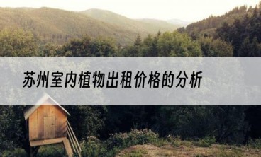 苏州室内植物出租价格的分析
