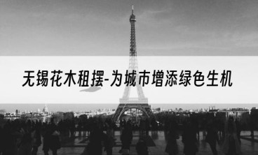 无锡花木租摆-为城市增添绿色生机