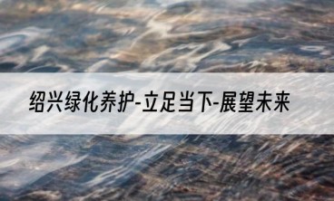 绍兴绿化养护-立足当下-展望未来