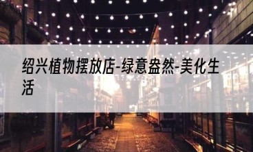 绍兴植物摆放店-绿意盎然-美化生活