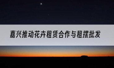 嘉兴推动花卉租赁合作与租摆批发