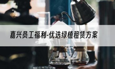 嘉兴员工福利-优选绿植租赁方案