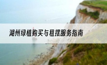 湖州绿植购买与租摆服务指南