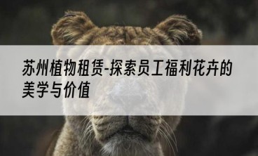 苏州植物租赁-探索员工福利花卉的美学与价值