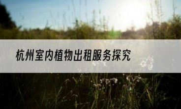杭州室内植物出租服务探究