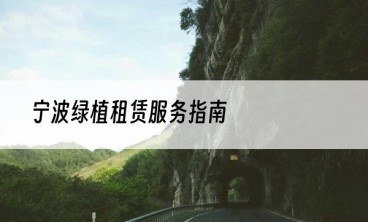 宁波绿植租赁服务指南