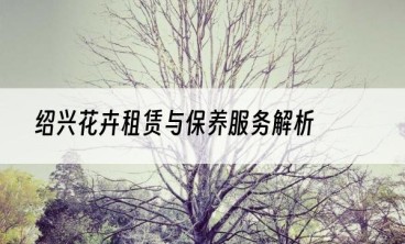 绍兴花卉租赁与保养服务解析