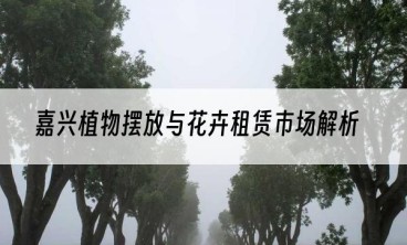 嘉兴植物摆放与花卉租赁市场解析
