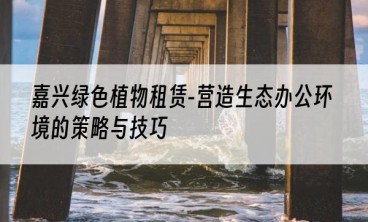 嘉兴绿色植物租赁-营造生态办公环境的策略与技巧