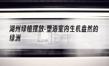 湖州绿植摆放-塑造室内生机盎然的绿洲