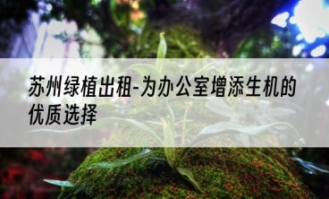 苏州绿植出租-为办公室增添生机的优质选择