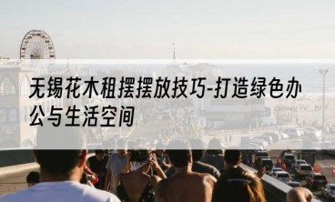无锡花木租摆摆放技巧-打造绿色办公与生活空间