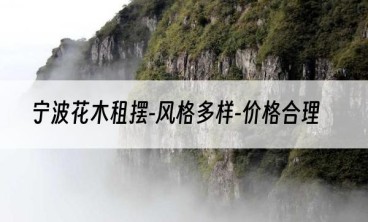 宁波花木租摆-风格多样-价格合理