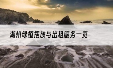 湖州绿植摆放与出租服务一览