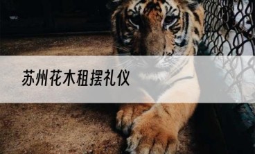 苏州花木租摆礼仪