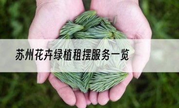 苏州花卉绿植租摆服务一览