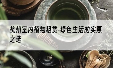 杭州室内植物租赁-绿色生活的实惠之选
