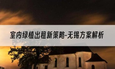 室内绿植出租新策略-无锡方案解析