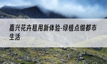 嘉兴花卉租用新体验-绿植点缀都市生活