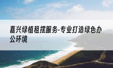 嘉兴绿植租摆服务-专业打造绿色办公环境