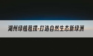 湖州绿植租摆-打造自然生态新绿洲
