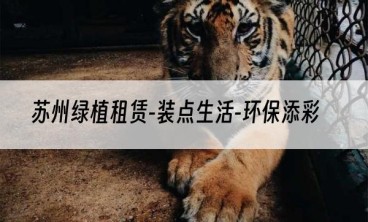 苏州绿植租赁-装点生活-环保添彩