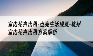 室内花卉出租-点亮生活绿意-杭州室内花卉出租方案解析