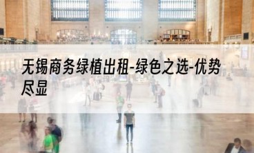 无锡商务绿植出租-绿色之选-优势尽显