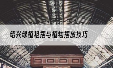 绍兴绿植租摆与植物摆放技巧