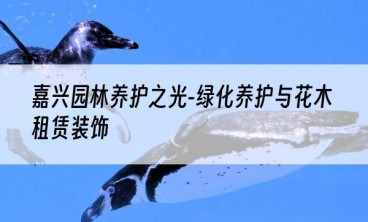 嘉兴园林养护之光-绿化养护与花木租赁装饰