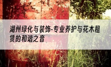 湖州绿化与装饰-专业养护与花木租赁的和谐之音
