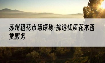 苏州租花市场探秘-挑选优质花木租赁服务