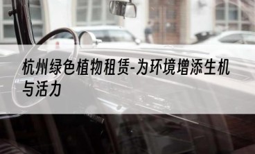 杭州绿色植物租赁-为环境增添生机与活力