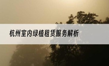 杭州室内绿植租赁服务解析