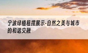 宁波绿植租摆展示-自然之美与城市的和谐交融
