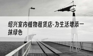 绍兴室内植物租赁店-为生活增添一抹绿色
