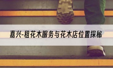 嘉兴-租花木服务与花木店位置探秘