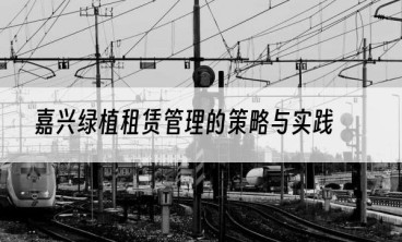 嘉兴绿植租赁管理的策略与实践