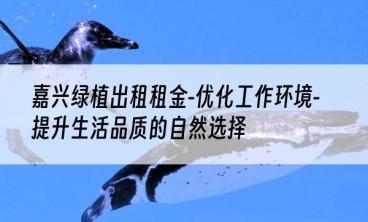 嘉兴绿植出租租金-优化工作环境-提升生活品质的自然选择