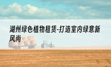 湖州绿色植物租赁-打造室内绿意新风尚