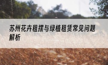 苏州花卉租摆与绿植租赁常见问题解析