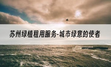 苏州绿植租用服务-城市绿意的使者
