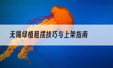 无锡绿植租摆技巧与上架指南
