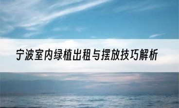 宁波室内绿植出租与摆放技巧解析