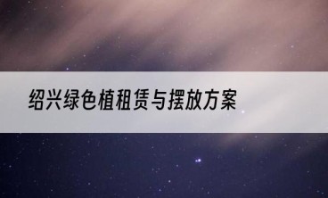 绍兴绿色植租赁与摆放方案