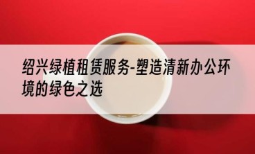 绍兴绿植租赁服务-塑造清新办公环境的绿色之选