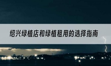 绍兴绿植店和绿植租用的选择指南