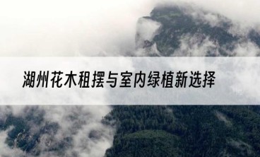 湖州花木租摆与室内绿植新选择