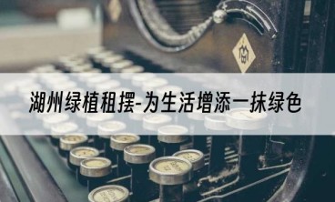 湖州绿植租摆-为生活增添一抹绿色