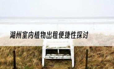 湖州室内植物出租便捷性探讨